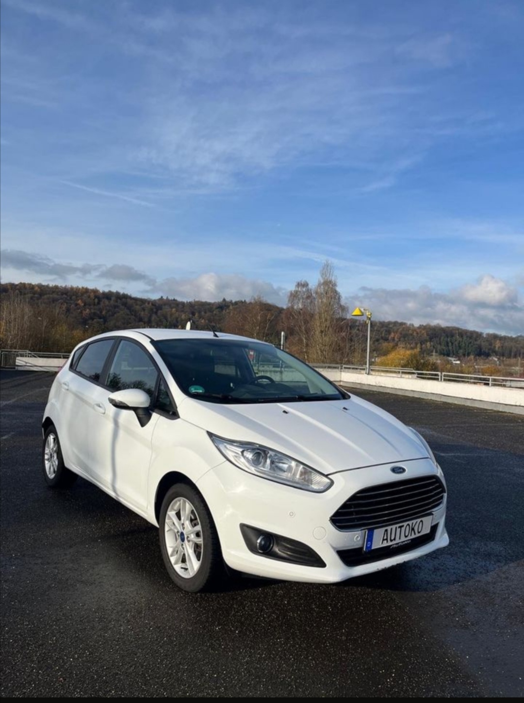 Ford-Fiesta-Ecoboost-4